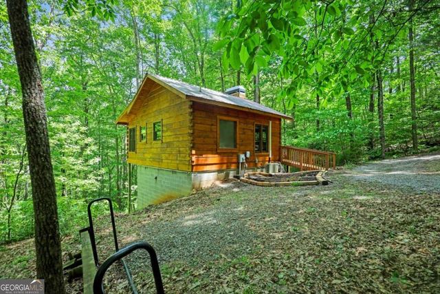 163 Little Rock Creek Trail 9, Cherry Log, GA 30522