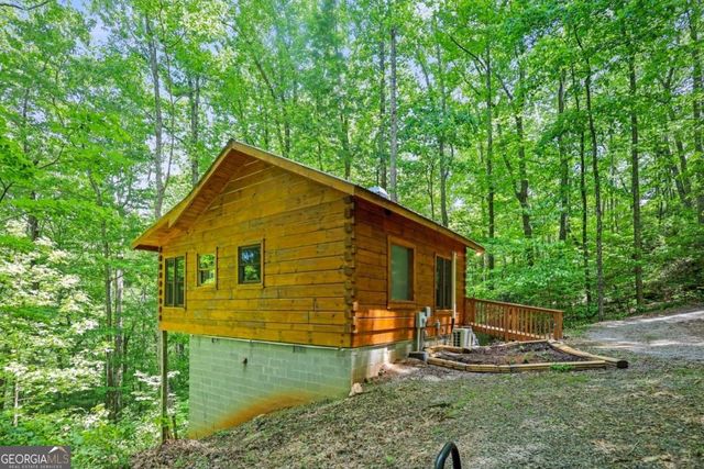 163 Little Rock Creek Trail 9, Cherry Log, GA 30522