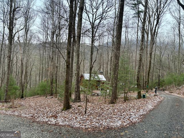 163 Little Rock Creek Trail 9, Cherry Log, GA 30522