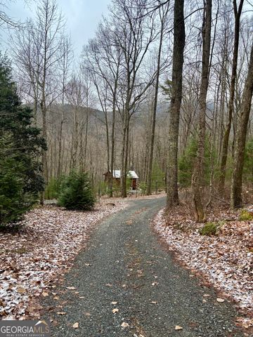 163 Little Rock Creek Trail 9, Cherry Log, GA 30522
