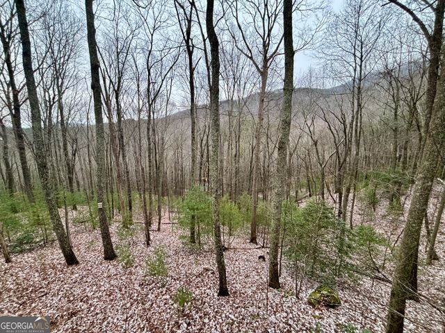 163 Little Rock Creek Trail 9, Cherry Log, GA 30522