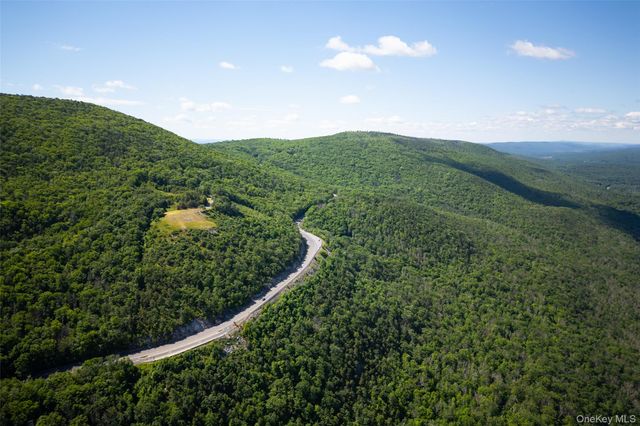 80 Hang Glider Road, Ellenville, NY 12428