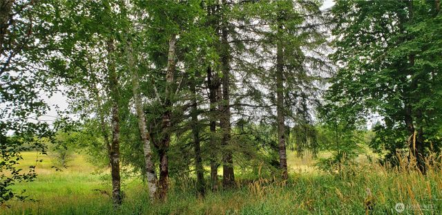 196 Jensen Road, Onalaska, WA 98570