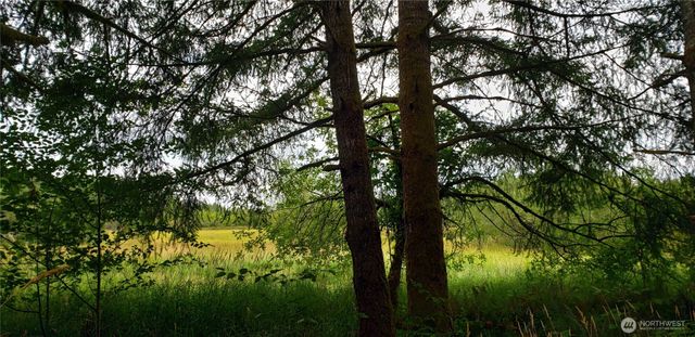 196 Jensen Road, Onalaska, WA 98570