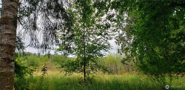 196 Jensen Road, Onalaska, WA 98570