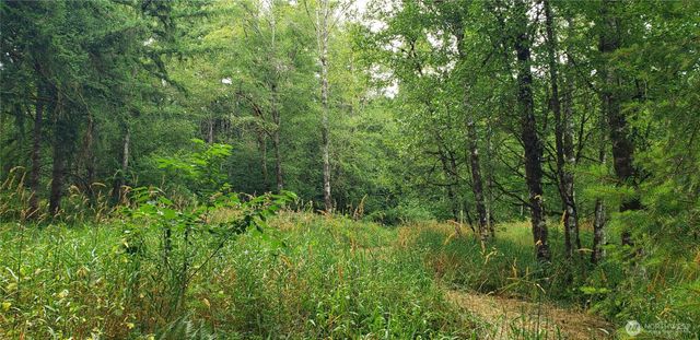 196 Jensen Road, Onalaska, WA 98570