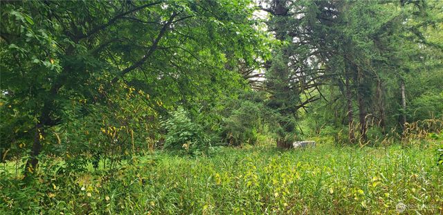 196 Jensen Road, Onalaska, WA 98570