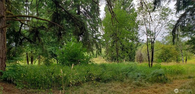 196 Jensen Road, Onalaska, WA 98570