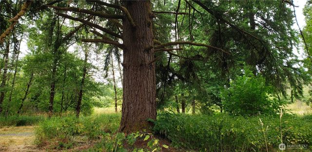 196 Jensen Road, Onalaska, WA 98570