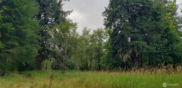 196 Jensen Road, Onalaska, WA 98570