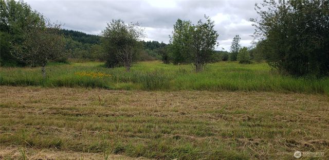 196 Jensen Road, Onalaska, WA 98570