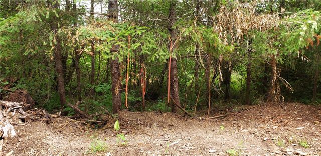 196 Jensen Road, Onalaska, WA 98570