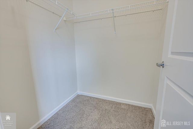 712 Strassle Way, South Plainfield, NJ 07080