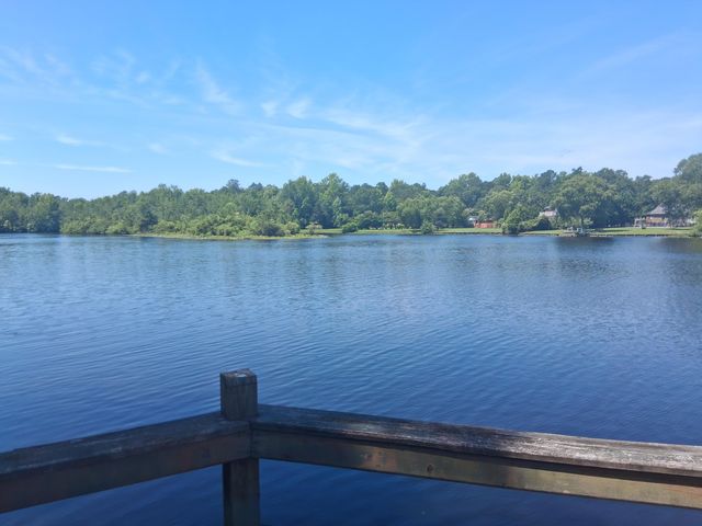 835 Torrey Pines Drive, Sumter, SC 29150