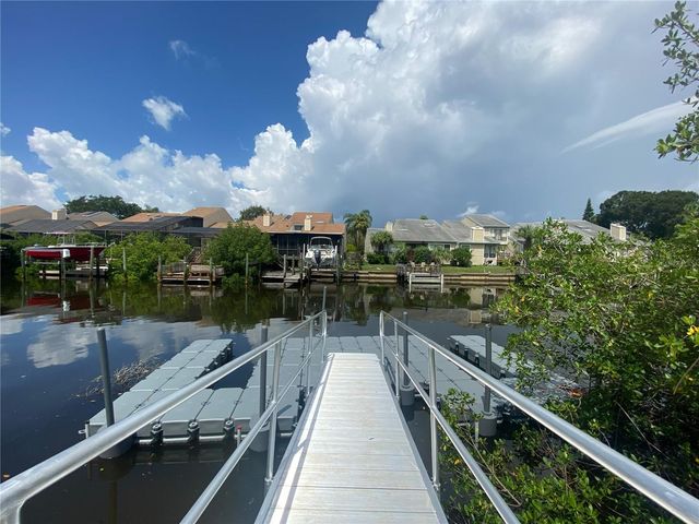 4323 BAYSIDE VILLAGE DRIVE 219, Tampa, FL 33615