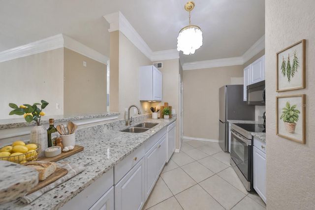 4323 BAYSIDE VILLAGE DRIVE 219, Tampa, FL 33615