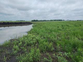 4225 County Road 4225, Cooper, TX 75432