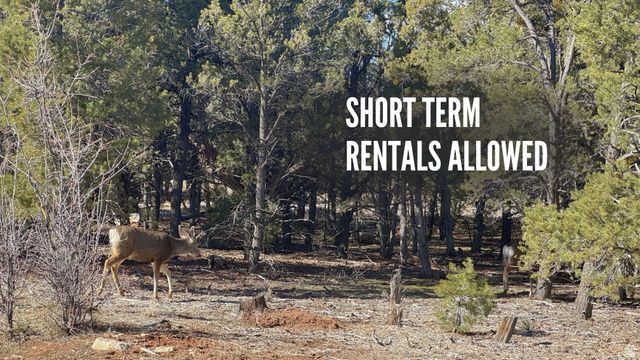 10550 W ZIONS DR., Orderville, UT 84758