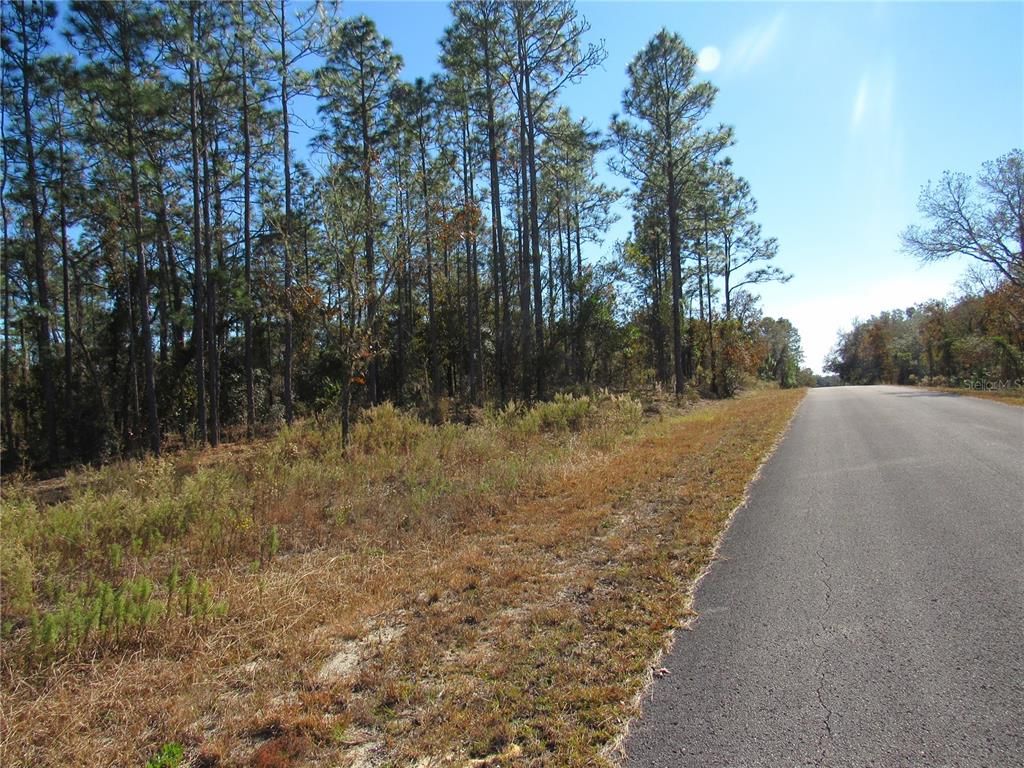 0000 SW SANDS PT AVE LOT 32, Dunnellon, FL 34431