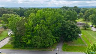 .34 Acre Lot Robinhood Way, Fyffe, AL 35971