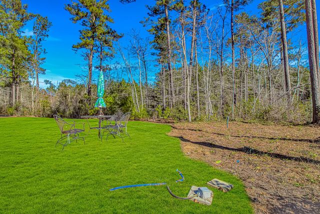 81 Silver Pond Ln, Hemingway, SC 29554