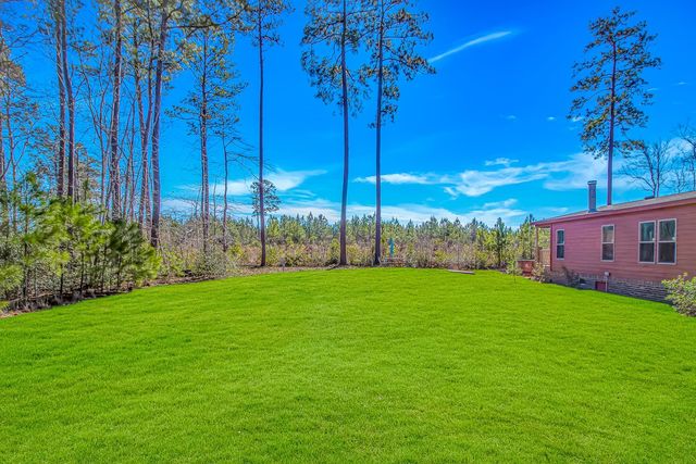 81 Silver Pond Ln, Hemingway, SC 29554