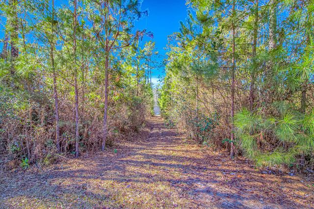 81 Silver Pond Ln, Hemingway, SC 29554