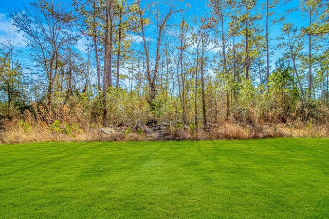 81 Silver Pond Ln, Hemingway, SC 29554