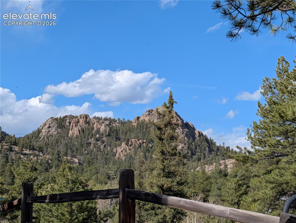 163 Cutthroat Drive, Lake George, CO 80827 — photo 4