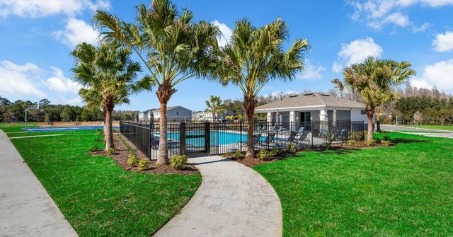 218 CUBAN ROYAL PALM WAY, Davenport, FL 33897