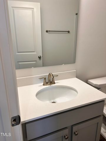 52 Camel Crazies Place, Lillington, NC 27546