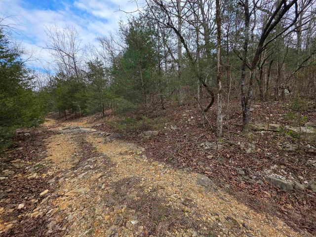 L-24 B-5 Tom Lee Road, Hardy, AR 72542