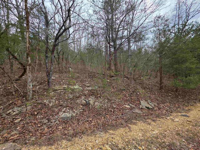 L-24 B-5 Tom Lee Road, Hardy, AR 72542