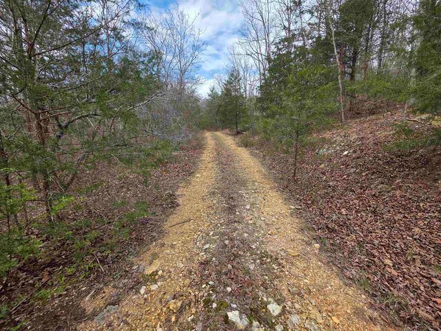 L-24 B-5 Tom Lee Road, Hardy, AR 72542