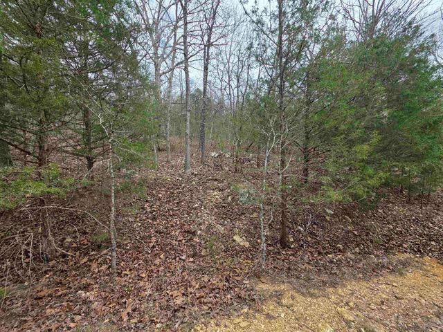 L-24 B-5 Tom Lee Road, Hardy, AR 72542