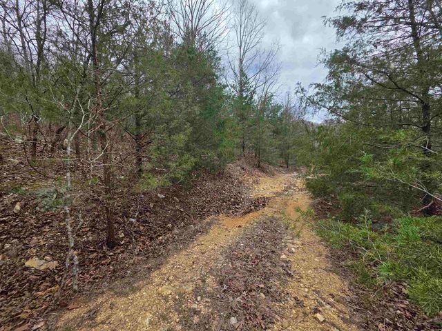 L-24 B-5 Tom Lee Road, Hardy, AR 72542