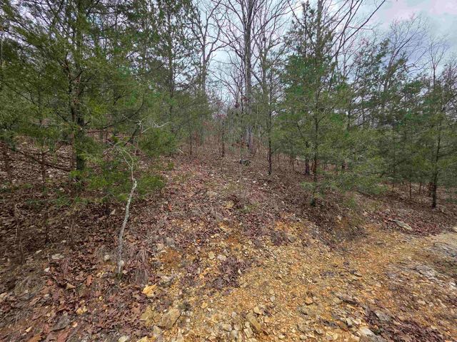 L-24 B-5 Tom Lee Road, Hardy, AR 72542
