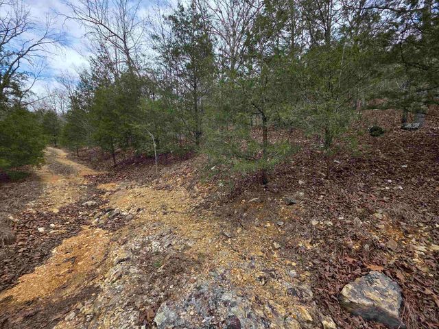 L-24 B-5 Tom Lee Road, Hardy, AR 72542