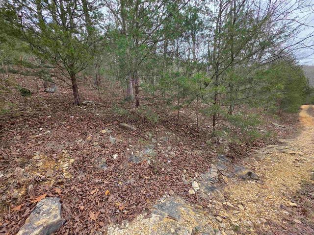 L-24 B-5 Tom Lee Road, Hardy, AR 72542