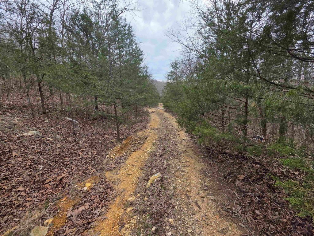 L-24 B-5 Tom Lee Road, Hardy, AR 72542