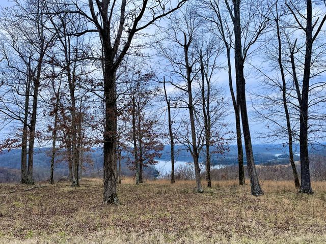 0 Trout Lane, Hilham, TN 38568