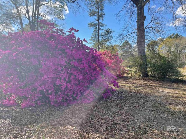 98 White Street, Brewton, AL 36426