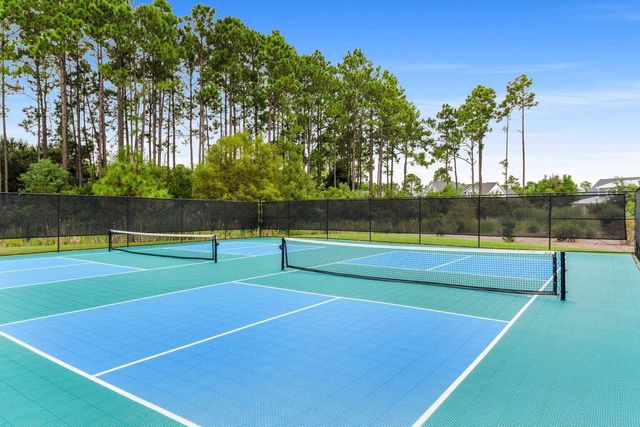 81 Windrow Way, Inlet Beach, FL 32461