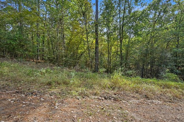 TBD The Woods Rd Lot 46 Road, Coldspring, TX 77331