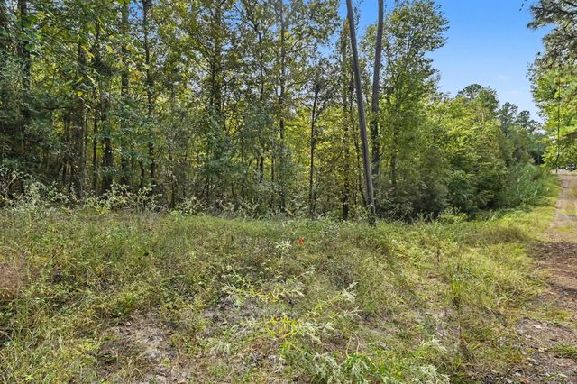TBD The Woods Rd Lot 46 Road, Coldspring, TX 77331