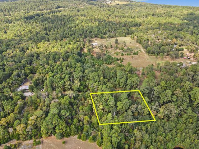 TBD The Woods Rd Lot 46 Road, Coldspring, TX 77331