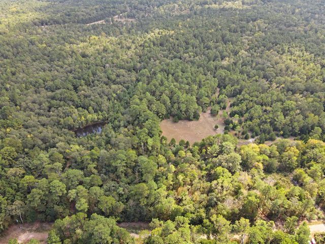 TBD The Woods Rd Lot 46 Road, Coldspring, TX 77331