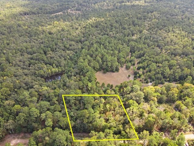 TBD The Woods Rd Lot 46 Road, Coldspring, TX 77331