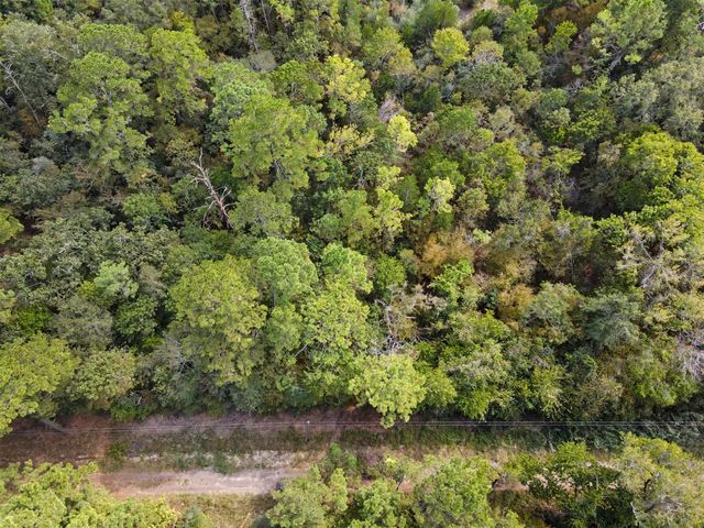 TBD The Woods Rd Lot 46 Road, Coldspring, TX 77331