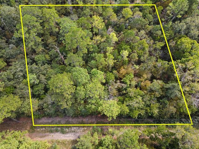 TBD The Woods Rd Lot 46 Road, Coldspring, TX 77331